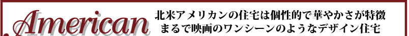 輸入リフォームアメリカン